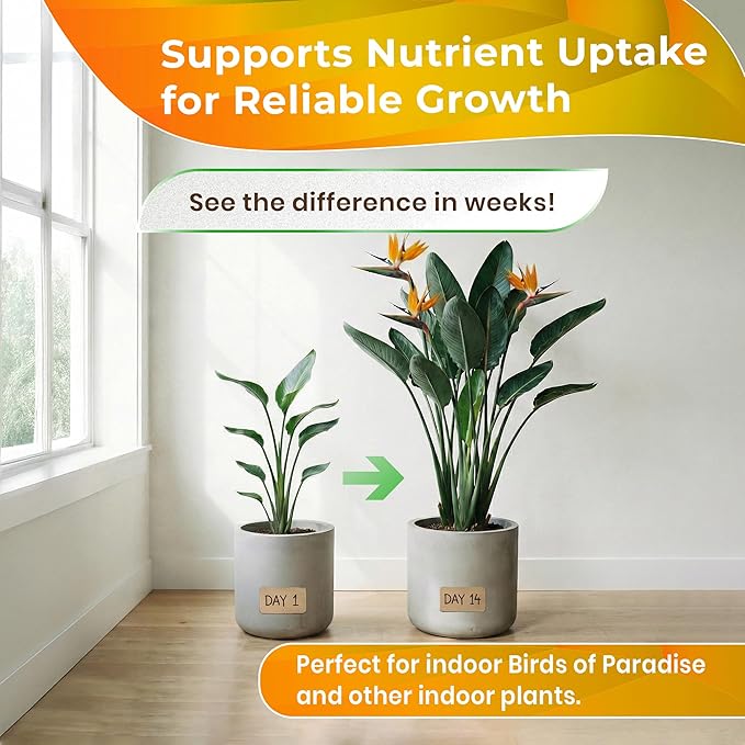 Professional Bird of Paradise Soil Potting Mix 2.2 Quarts Ready to Use, Premium Indoor Plant Soil for Birds of Paradise Plants, Peat Moss Coco Coir Perlite Dolomite, Made in USA