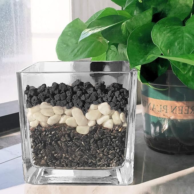 Lava Rocks for Plants -100% Pure Volcanic Rock No Dyes or Chemicals-Best Lava Stones Top Dressing for Cacti Succulents Plants,Bonsai (Black, 20LBS)