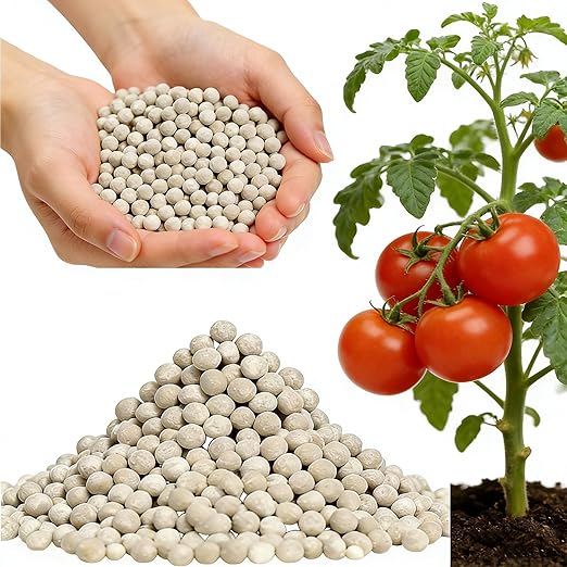 15-15-15 All Purpose Granular Garden Fertilizer for Flowers and Vegetable Beds, Indoor/Outdoor Plants, Fruit Trees and Lawns, Promotes Fruit Growth and Big Blooms（5.9LB）
