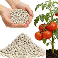 15-15-15 All Purpose Granular Garden Fertilizer for Flowers and Vegetable Beds, Indoor/Outdoor Plants, Fruit Trees and Lawns, Promotes Fruit Growth and Big Blooms（5.9LB）