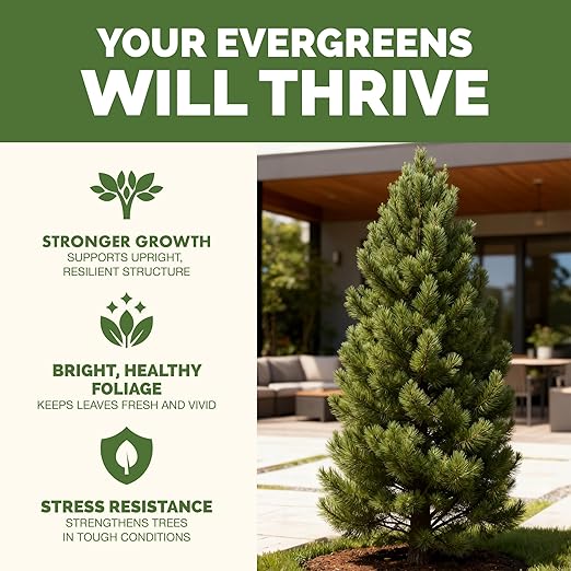 Evergreen Tree Fertilizer – Liquid Plant Food for Rich Green Needles, Stronger Roots & Healthy Year-Round Growth, 1 Gallon
