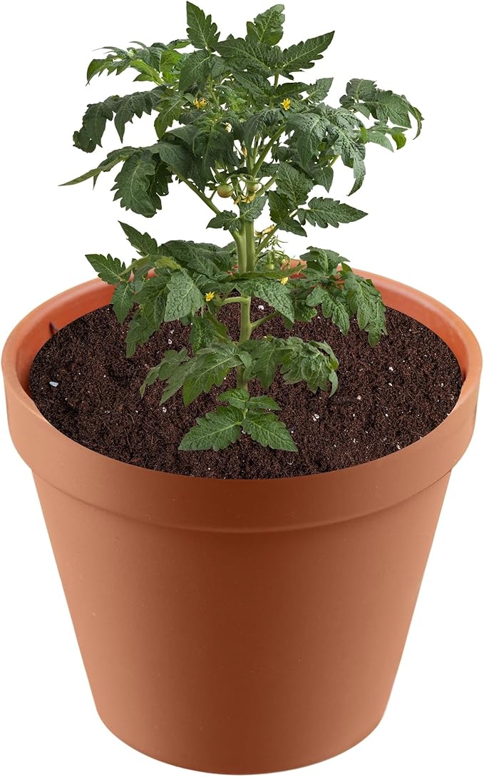Premium Seed Starter Soil - Ideal for Seed Starting & Gardening - Complete Seed Starting Mix Included. 4 Quart