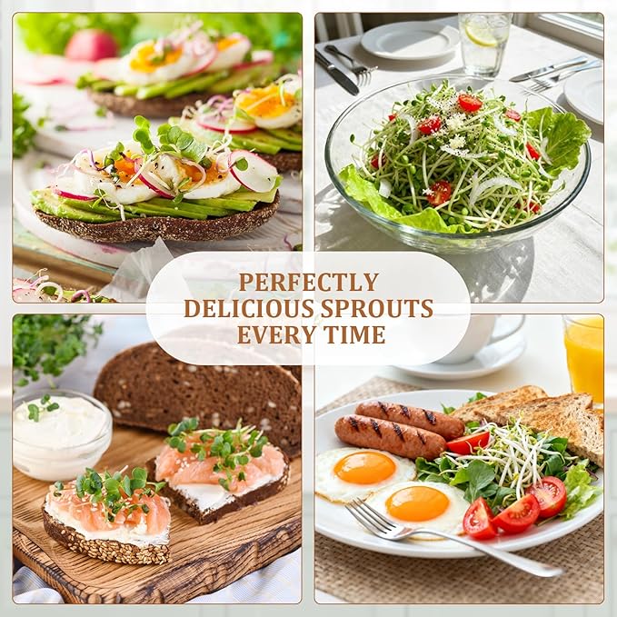 Seed Sprouting Kit with Radish 80g, 2 Large Wide Mouth Mason Jars with Sprout Lids, Blackout Sleeves, Drain Tray, Stainless Steel Stand, Sprouts Growing Kit for Growing Bean Alfalfa Sprout Seeds