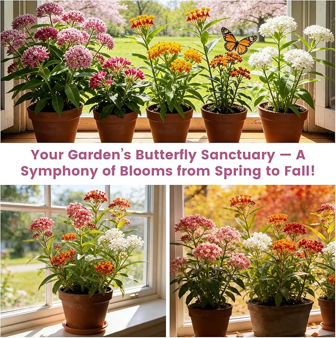 Milkweed Seeds Mix for Monarch Butterflies - Fruivity 5 Varieties Perennial Wildflower Milkweed Seeds Non-GMO Butterfly, Common, Showy, Pink Swamp & White Swamp - Flower Seeds for Pollinator Garden