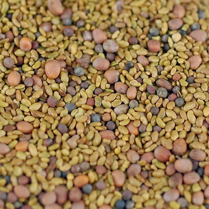 Handy Pantry Organic Salad Sprouting & Microgreens Mix – 5 LB – Non-GMO, High-Germination Blend of Alfalfa, Broccoli, Lentil, Mung Bean & Radish Seed – Fresh, Crisp Sprouts & Nutritious Micro Green