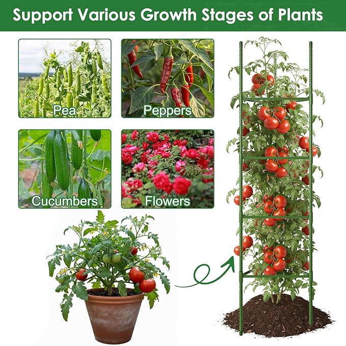 CEWOR Tomato Cage - 6 Pack Tomato Trellis, 63 Inch Extra Tall Tomato Cages for Garden, Plant Support Garden Stakes Triangle Structures for Climbing Plants Outdoor, Pots, Raised Garden Bed, Vegetables