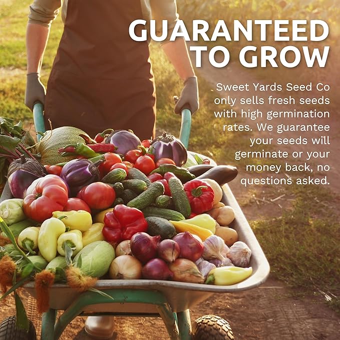 Organic Lettuce & Greens Seeds Variety Pack - 10 Individual Packs - 2026 Season - Buttercrunch, Arugula, Romaine, Kale and More! for Indoor & Outdoor Planting (Non-GMO, Certified Organic)