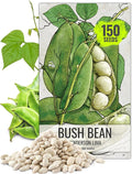 Seed Needs Henderson Lima Bush Bean Seeds for Planting | 2 Ounce 150+ Seeds Phaseolus Vulgaris Non GMO Vegetable Seed Garden Variety | Easy to Grow Lima Bean Seed Home Garden Favorite | Bulk