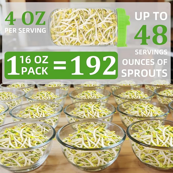 Organic Mung Bean Sprout Seeds (16 oz), Certified Non-GMO, Heirloom Seeds, Premium Mung Bean Sprouting Seeds for Sprouting and Microgreens, High Yield High Germination, Resealable Bag