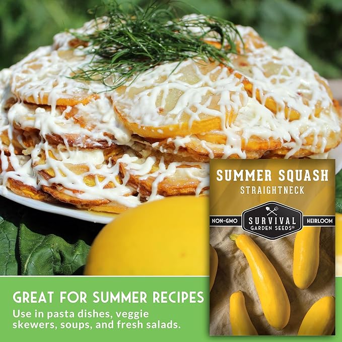 Survival Garden Seeds - Straightneck Summer Squash Seed for Planting - 2 Packets with Instructions to Plant and Grow Yellow Squash in Your Home Vegetable Garden - Non-GMO Heirloom Variety