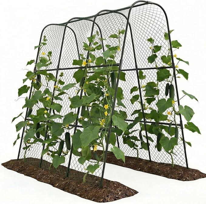 Garden Arch Trellis for Climbing Plants, Plastic-Coated Steel Trellis with Easy-Connect System, Includes Net, Ties & Gloves, Outdoor Plant Support for Vegetables (47.2" L x 47.2" H)