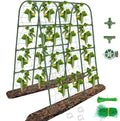 65"×50" Cucumber Trellis for Raised Bed,Tall Metal Arch Garden Trellis for Climbing Plants Outdoor,Vegetables,Plant Support Peas,Fruit,Flower,Grape,Tomato, Bean