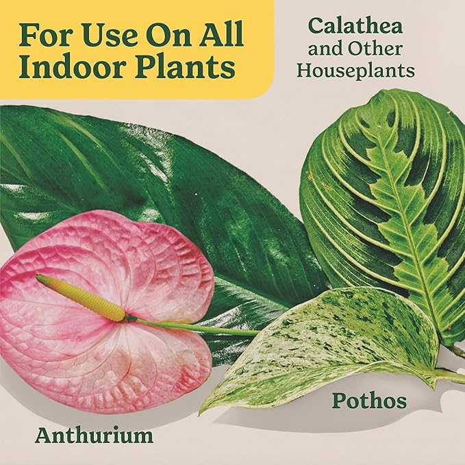 Miracle-Gro Indoor Plant Food Spikes for All Plants, Fertilizer Spikes for Houseplants, Flowers, Vegetables, and Herbs, 24 Spikes