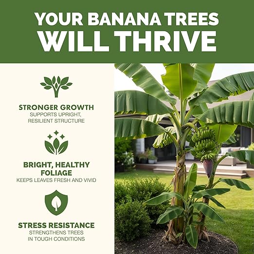 Banana Tree Fertilizer – Liquid Fertilizer for All Banana Tree Varieties, Supports Growth & Fruiting, 1 Gallon