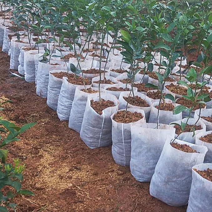 300 Pcs Plants Nursery Bags Non-Woven Biodegradable Seedling Grow Bags for Vegetables Flowers Fruits Trees Planting Transplant for Home Garden Pots (300, 24 * 27cm)