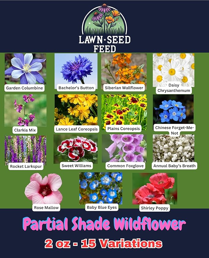 Partial Shade Wildflower Mix - (2oz) - Brighten shady spaces with vibrant blooms that flourish in sunlight. Perfect for yards, garden beds, and fence lines—bringing color where other flowers struggle!
