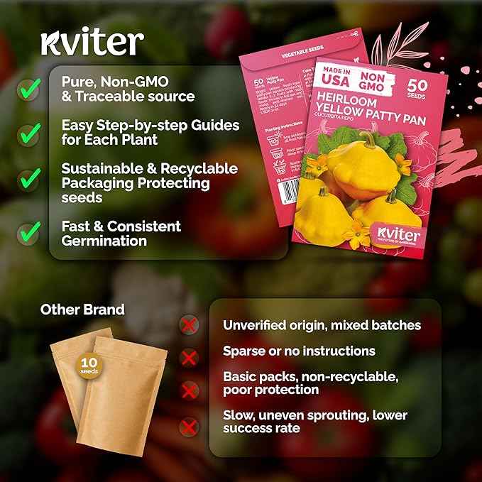 KVITER 50 Patty Pan Yellow Squash Seeds (Cucurbita pepo) – Bush Summer Squash Seed Packets, Scallop Yellow For Outdoor Garden – Non GMO Heirloom Vegetable Seeds For Planting in Home Garden Raised beds