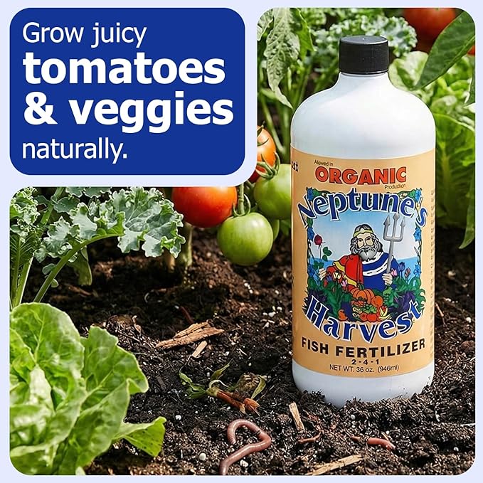 Neptune's Harvest Fish Fertilizer (2-4-1) - 36oz Bottle - Organic Liquid Plant Fertilizer - Fish Hydrolysate for Vegetables, Flowers, Fruit, Trees, Grass - Indoor and Outdoor Plant Food