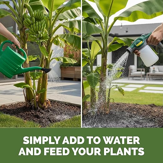 Banana Tree Fertilizer – Liquid Fertilizer for All Banana Tree Varieties, Supports Growth & Fruiting, 8 oz