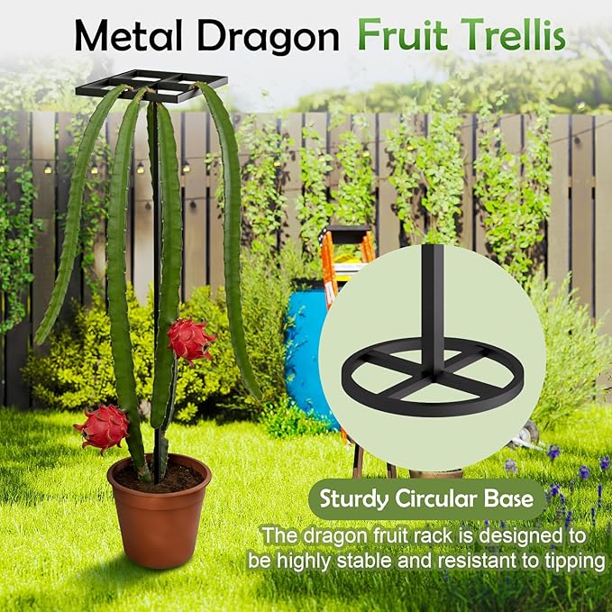 1 Pcs Dragon Fruit Trellis for Climbing Plants, Adjustable Metal Plant Trellis, Outdoor & Indoor Garden Trellis for Potted Plants, Vertical Support for Dragon Fruit, Cactus - Easy Assembly (1 Pack)
