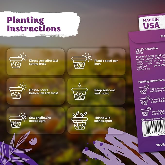 KVITER 750 Dandelion Seeds for Planting (Taraxacum officinale)– Dandelion Greens Flower Seed Starting – Edible Plants, Herb Grower, Medicinal Herbs Seeds Outdoor & Indoor Herb Garden, Containers