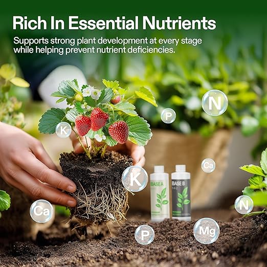 VIVOSUN Liquid Nutrients Base A & B Bundle, Grow Big Hydroponic Fertilizer, Supports Vegetative and Flowering Stages for Outdoor, Indoor Plants, Best Plant Food, Set of 8oz (Pack of 2)