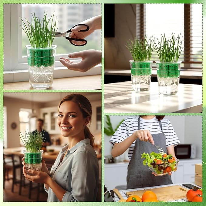 2 Pack Green Onion Planter Scallion Grower Seed Sprouting Kit Compatible with Regular Mouth Mason Jar for Windowsill Garden, Hydroponics, and Propagation Hydroponics Enthusiasts (Green)