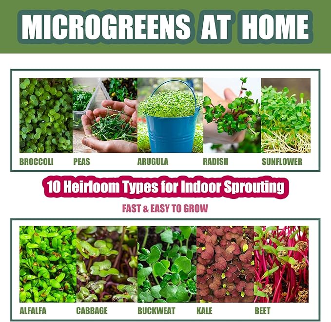 QISHENG - 4 Pack Microgreens Grow Kit,Soil-Free Cultivation Germination Tray,BPA-Free Indoor Sprouting Kit for Growing Bean Sprouts/Organic Seeds/Broccoli/Alfalfa/Radish/Clover (Beige)