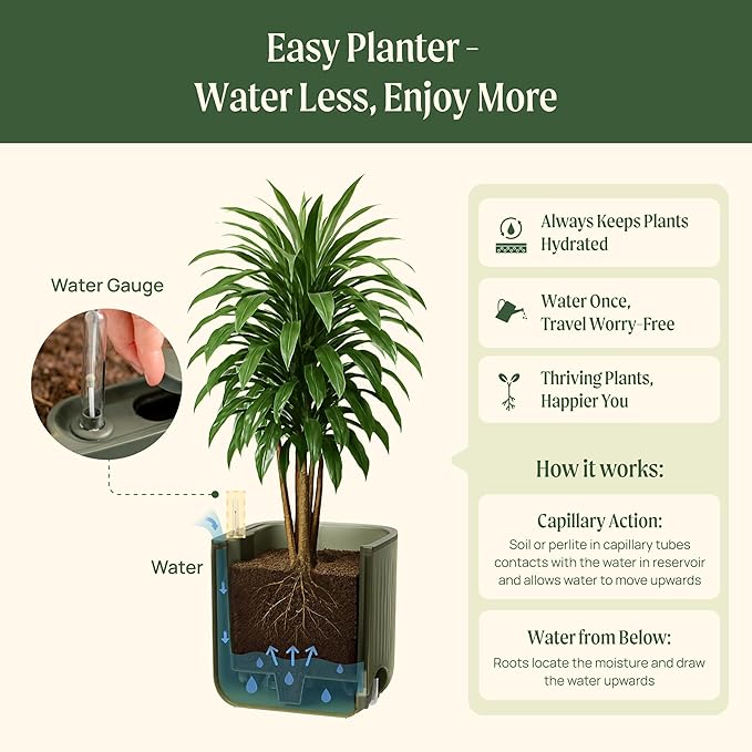 15 Inch Self-Watering Planter for Indoor Plants – Large Modern Plant Pot with Built-In Water Reservoir, Ideal for Monstera, Fiddle Leaf Fig, Palms & Peace Lily, Without Trellis, Twin Pack, Fog Gray