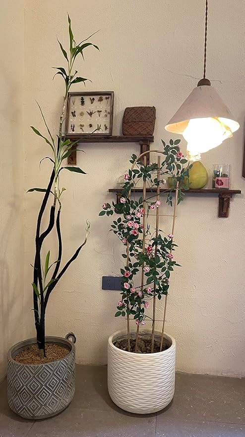 Bamboo Trellis,U-Shape Bamboo Trellis,3Feet,3pack,Trellis for Climbing Plants Outdoor Bamboo,for,Climbing Plants,Tomato, Vegetables,Flowers, Beans, Cucumber,Indoor Potted Climb Plants