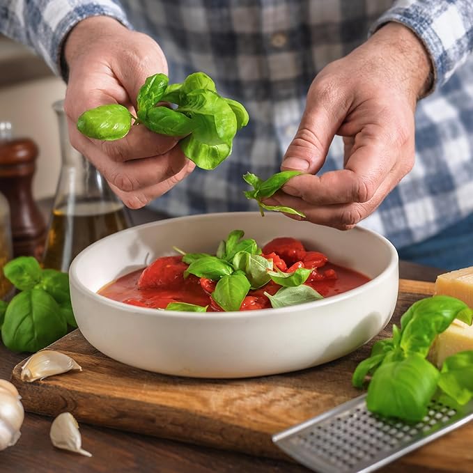 Seed Needs Basil Seeds for Planting Italian Large Leaf Herbs - Non-GMO Heirloom & Untreated - Grow an Indoor or Outdoor Home Grown Herb Garden (2 Packs)