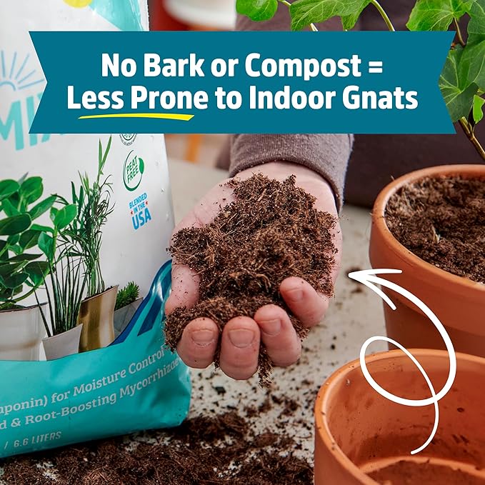 Back to The Roots 100% Organic Indoor Potting Mix (6 Quart),Promotes Healthy Houseplant Growth,Made in The USA,(Pack of 8)