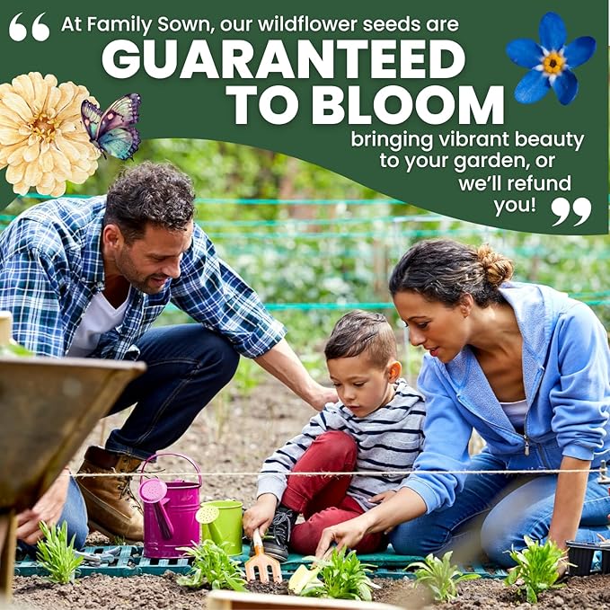 Chinese Forget Me Not – 4,000 Seeds for Planting – 2026 Season – 1 Ounce Pouch