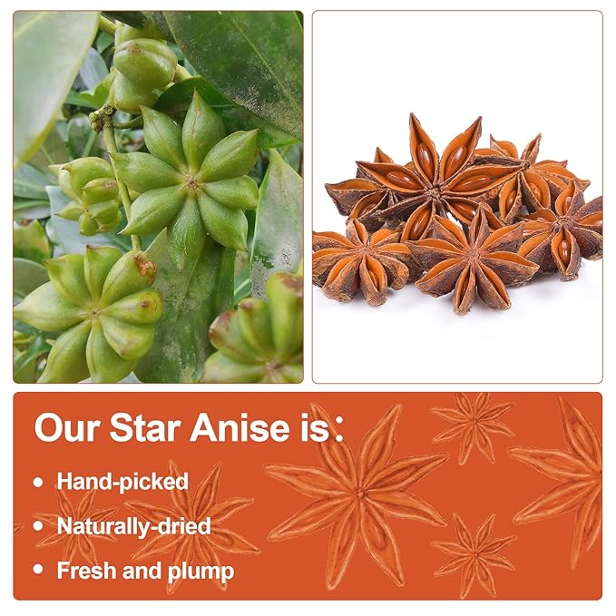 Besway Chinese Star Anise 7 oz, Whole Star Anise, Fresh, Pure and Dried Anise Pods, Great for Cooking, Baking and Tea (200g)