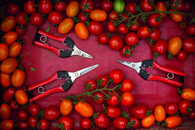 Felco F321 Pruning Snips – 7" Garden Clippers with Curved Blade & Rounded Tip | Pruning Shears for Gardening | Garden Snips and Pruners with Carbon Steel Blade, Sap Groove