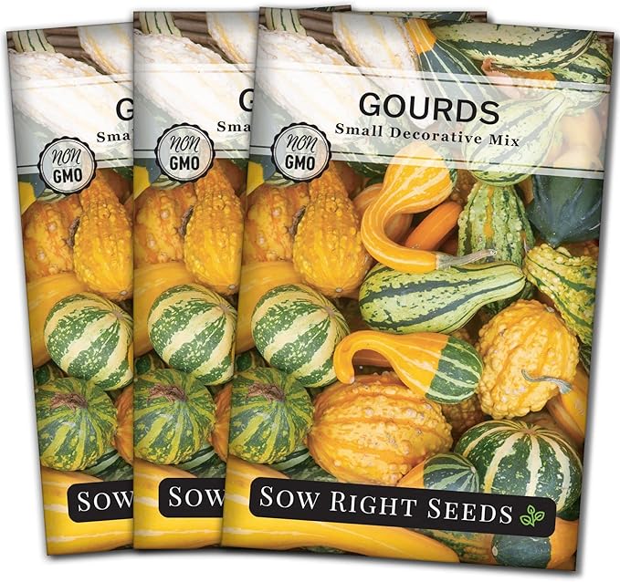Sow Right Seeds - Decorative Small Gourds Mix Seed for Planting - Non-GMO Heirloom Packet with Instructions to Plant & Grow an Outdoor Home Vegetable Garden - Fun, Colorful and Unique Squash (3)
