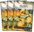 Sow Right Seeds - Decorative Small Gourds Mix Seed for Planting - Non-GMO Heirloom Packet with Instructions to Plant & Grow an Outdoor Home Vegetable Garden - Fun, Colorful and Unique Squash (3)