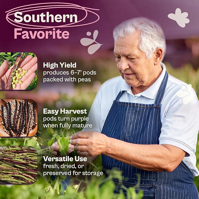 SVI 200 Mississippi Pinkeye Purplehull Pea Seeds (Vigna Unguiculata) – Cowpeas, Field Peas, Non GMO, Heirloom Seed, High Yield, Easy to Shell – Vegetable Seeds for Outdoor Garden