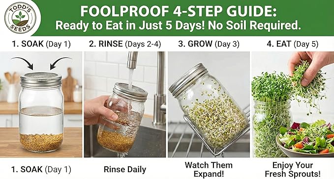 Todd’s Seeds - Alfalfa Sprouting Seeds - Easy to Grow - Fast Growing Seeds with High Sprout Germination (One Pound)