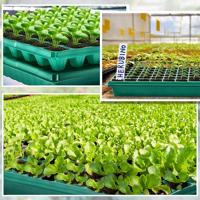 50 Pcs Seed Starter Kit 72 Cell Seedling Starting Trays and 1020 Trays No Holes Plant Growing Nursery Pots for Gardening Germination Propagation (Green)