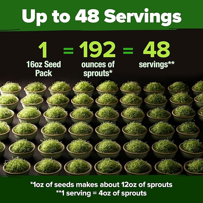 HOME GROWN Premium Sprouting Seeds Mix - Microgreens 118,200 Seeds for Indoor Growing - Non-GMO Broccoli, Alfalfa, Radish, Clover Sprouts Seed - 16oz Resealable Pack for Healthy Salad & Juicing