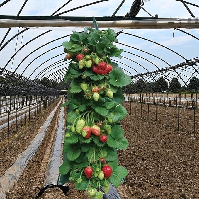 2024 Hanging Strawberry Planter, Upside-Down Patio Garden Tomato Planter Bags, Hanging Strawberry Plant Grow Bags,Hanging Grow Bags Flower Planting Bag Handle Grow Pouch Planter for Outdoor (1)