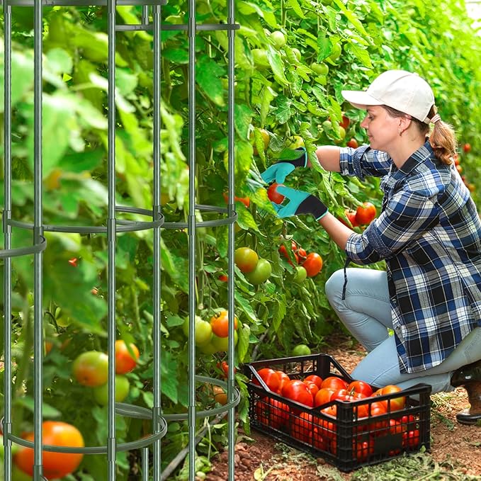 6 Pack Tomato Cages for Garden Plant Support 64 Inches Tall Garden Trellis Plant Stakes for Indoor Outdoor Plants Climbing Plants Vegetable Fruit Crop Flower Vine, Green