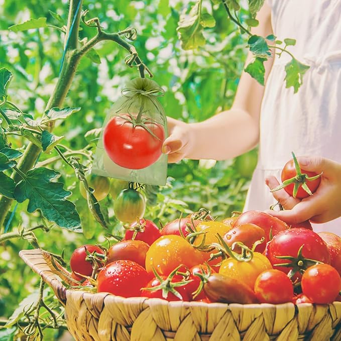 Unves 6 x 8 Inch Fruit Protection Bags, 80 Pcs Drawstring Mesh Bags for Apple Orange Figs Tomatoes Strawberry Plant Protection, Mesh Netting for Fruits Tree Vegetables Fruit Tree Covers