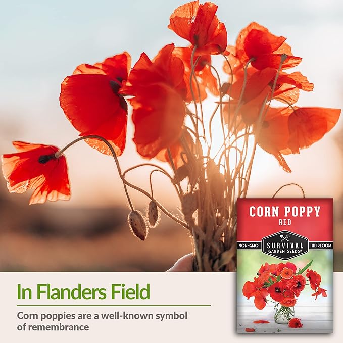 Survival Garden Seeds Red Corn Poppy (Papaver Rhoas) | 2 Packs with Wildflower Seeds & Planting Instructions | Grow Flanders (American Legion) Poppies in Your Home Flower Garden - Non-GMO Heirloom