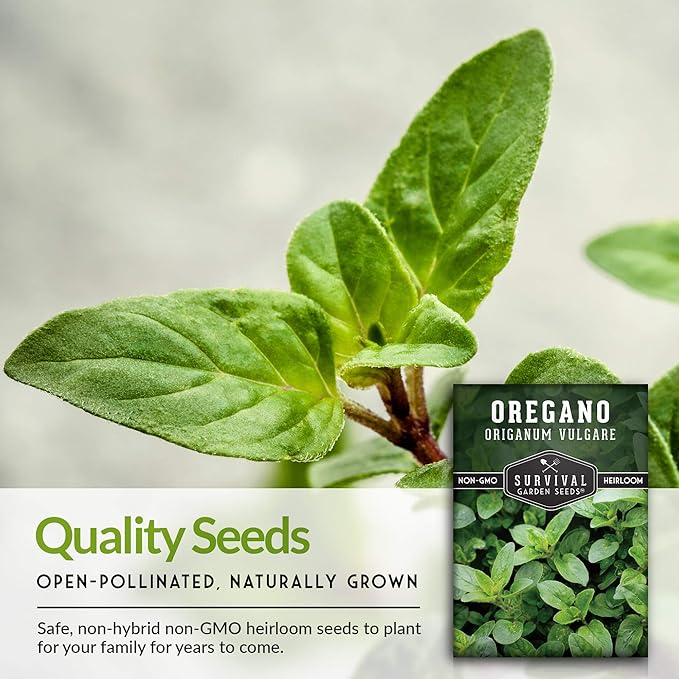 Oregano Seeds for Planting - Origanum Vulgare Culinary Herb for Italian Dishes - Grow Indoors or Outdoors for Fresh Flavor and Pollinators - Heirloom, Non-GMO - Survival Garden Seeds (1 Pack)
