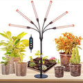FECiDA 2026 6Head Table Top Grow Lights for Seed Starting, Indoor Plants, Bonsai, 54 Watt Power Draw, NO Need Adapter, 4/8/12/16/20H Timer, 16"-24" Height Adjustable, Big Coverage