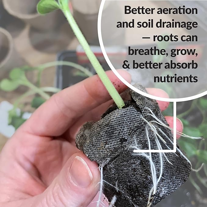 100 Count- Jiffy 36 MM Peat Soil Pellets Seeds Starting Plugs: Indoor Seed Starter- Start Planting Indoors for Transplanting to Garden or Planter Pot