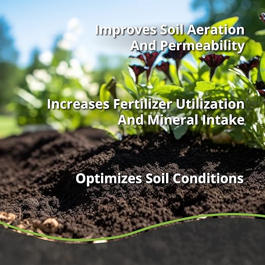 Worm Bliss (2 Gallons) + Char Bliss (8 Qts) - Organic Worm Castings for Plants & Organic Biochar for Plants - Biochar Soil Amendment - Charcoal for Plants - Earthworm Castings Organic Fertilizer