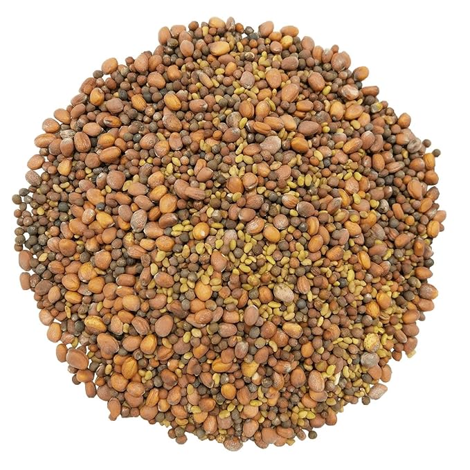 Food to Live Organic Spicy Mix of Sprouting Seeds, 12 Ounces — Non-GMO Broccoli, Radish, Alfalfa, Raw, Rich Germination Rate, Non-Irradiated, Pure, Kosher, Vegan Superfood, Bulk, Rich in Sulforaphane